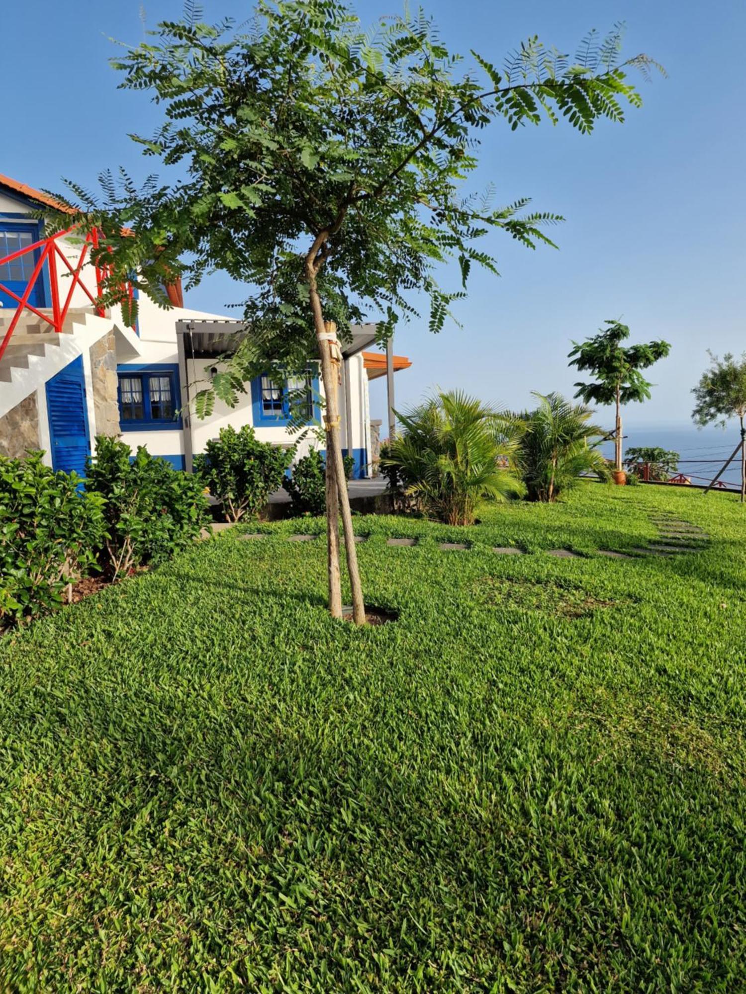 Casa Villa Dinastia Sotao Y Casa Villa Dinastia Miramar ريبيرا برافا المظهر الخارجي الصورة