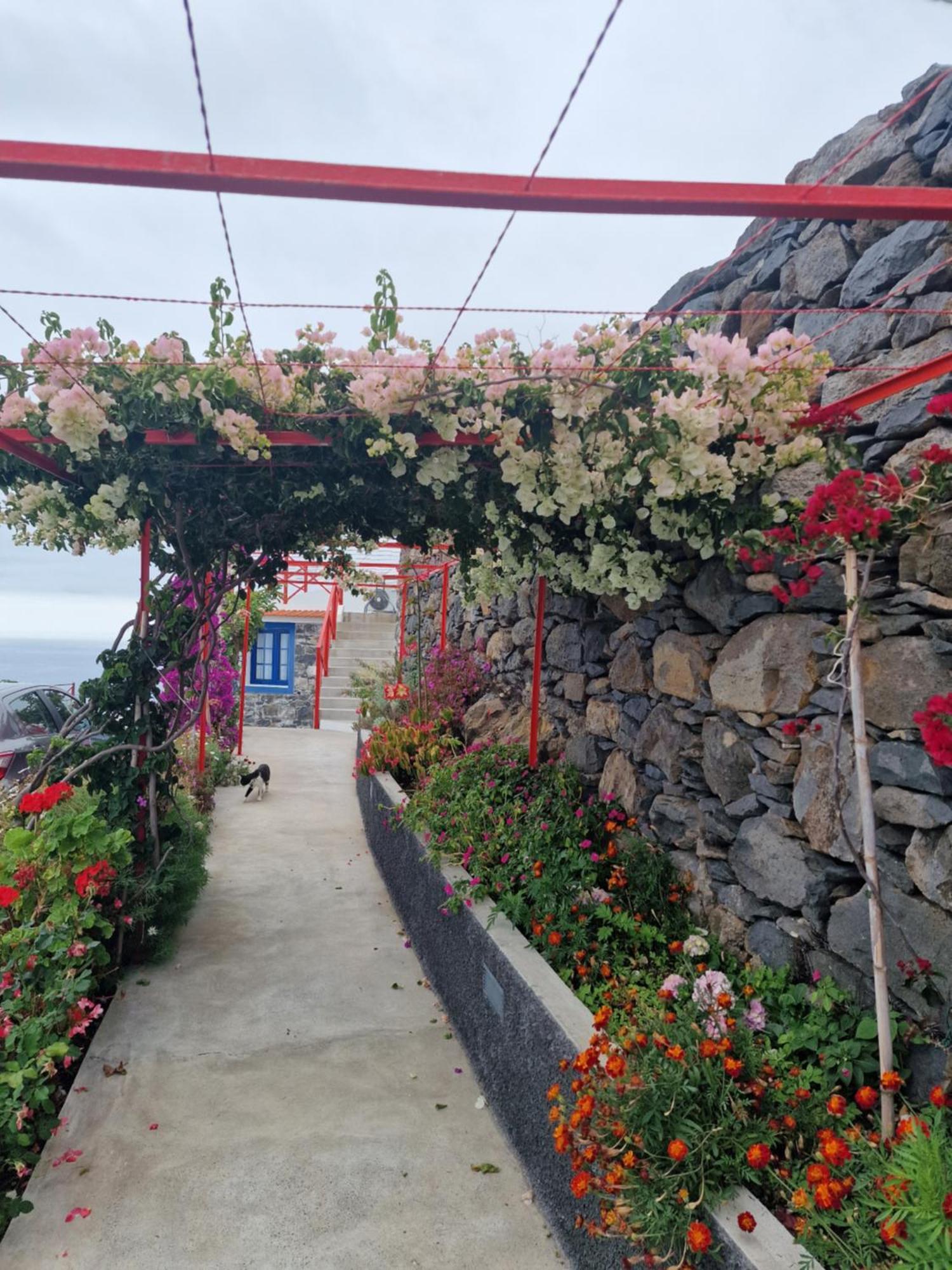 Casa Villa Dinastia Sotao Y Casa Villa Dinastia Miramar ريبيرا برافا المظهر الخارجي الصورة